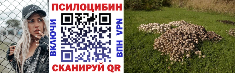 Купить где  Тейково  Галлюциногенные грибы мицелий 